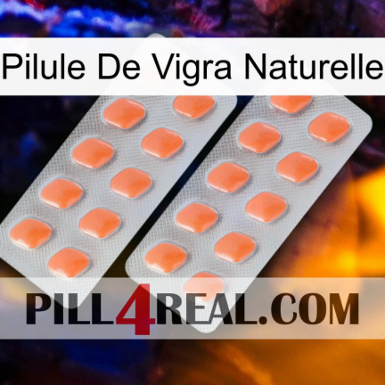 Natural Vigra Pill 27
